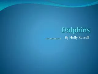 Dolphins