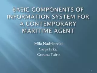 Basic Components of Information System for a Contemporary Maritime Agent