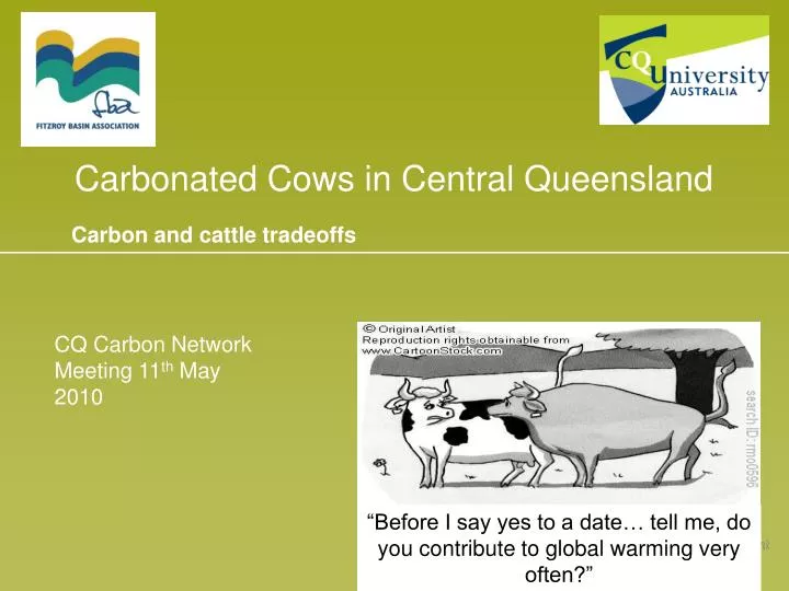 carbonated cows in central queensland
