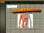 Algunos sistemas de nuestro cuerpo - slide 1