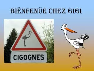 bi nfen e chez gigi