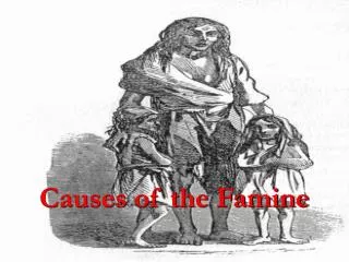 Causes of the Famine