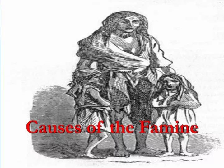 causes of the famine