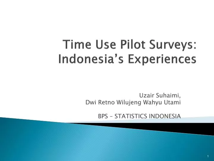 time use pilot surveys indonesia s experiences