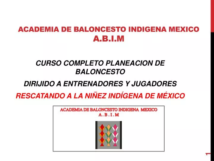 academia de baloncesto indigena mexico a b i m