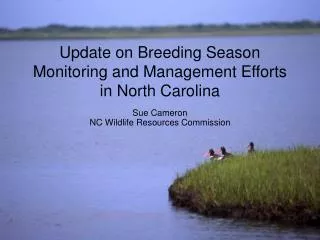 Update on Breeding Season Monitoring and Management Efforts in North Carolina