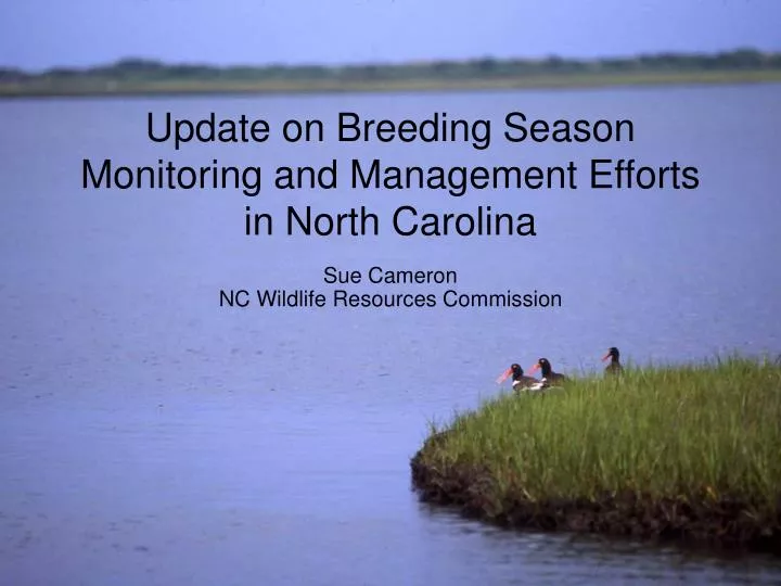 update on breeding season monitoring and management efforts in north carolina