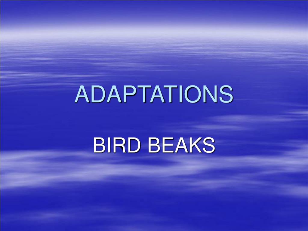 PPT - ADAPTATIONS PowerPoint Presentation, free download - ID:5285730
