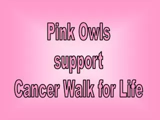 Pink Owls support Cancer Walk for Life