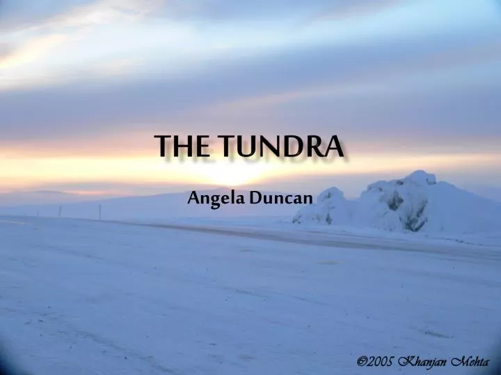 the tundra