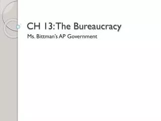 ch 13 the bureaucracy