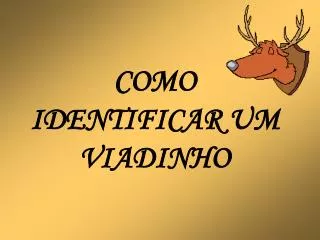 como identificar um viadinho
