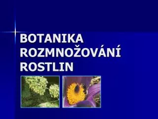 botanika rozmno ov n rostlin