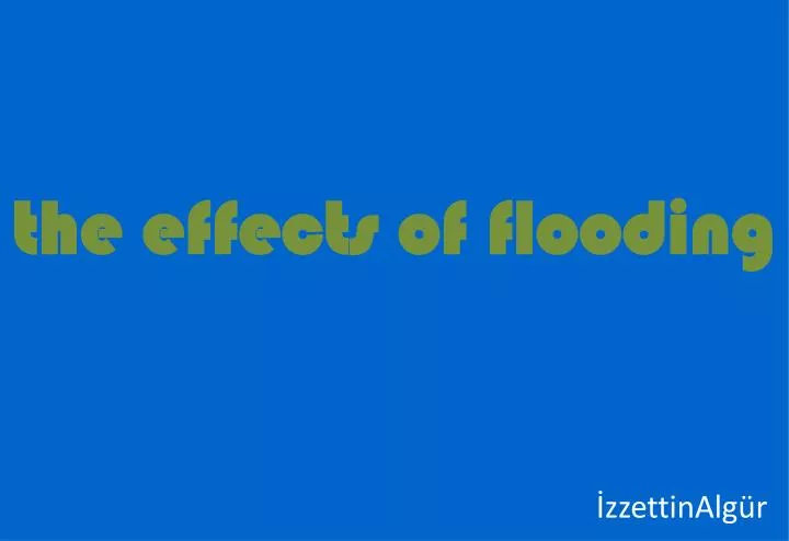 the effects of flooding