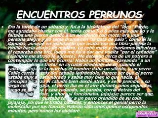 encuentros perrunos