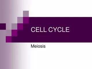 CELL CYCLE