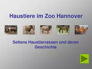 haustiere im zoo hannover