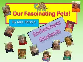 Our Fascinating Pets!