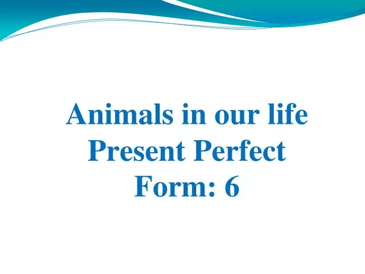 animals in our life present perfect form 6