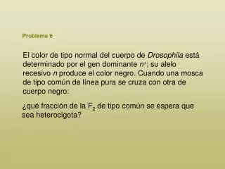 problema 6