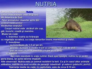 nutria