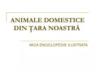animale domestice din ara noastr