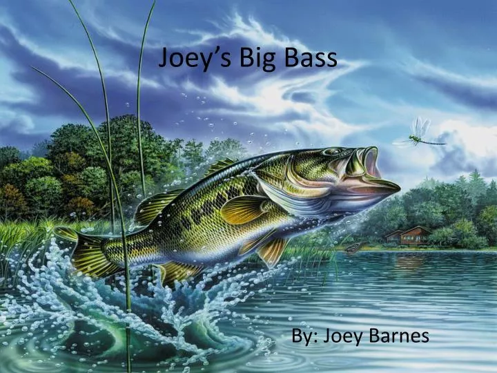 joey s big bass