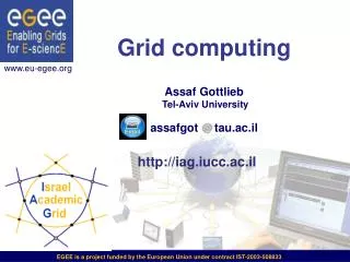 Grid computing Assaf Gottlieb Tel-Aviv University assafgot tau.ac.il