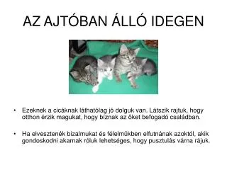 az ajt ban ll idegen