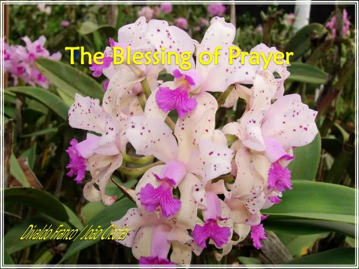the blessing of prayer