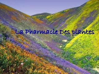 la pharmacie des plantes