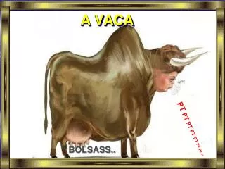 a vaca