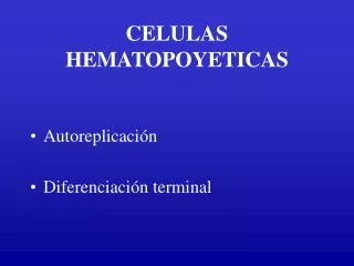 celulas hematopoyeticas
