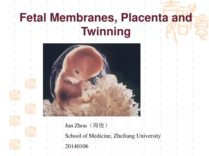 fetal membranes placenta and twinning