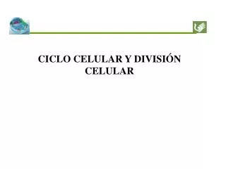 ciclo celular y divisi n celular