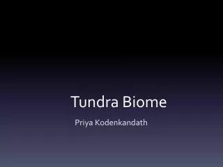Tundra Biome