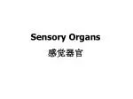 Sensory Organs 感觉器官 - slide 1