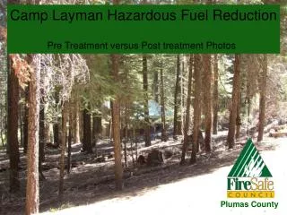 Camp Layman Hazardous Fuel Reduction Pre Treatment versus Post treatment Photos