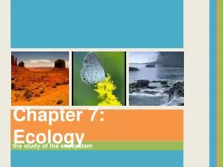 the study of the ecosystem