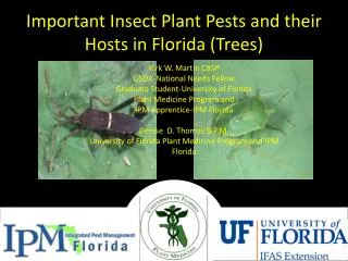 Important Insect Plant Pests and their Hosts in Florida (Trees)