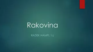 rakovina