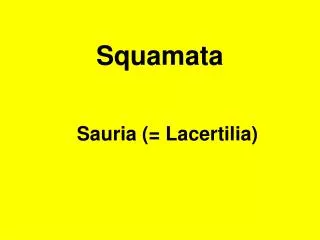 squamata