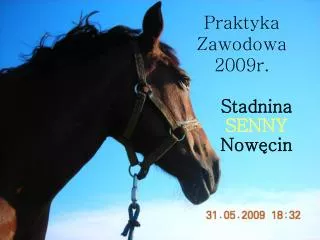 praktyka zawodowa 2009r