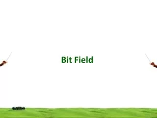 Bit Field