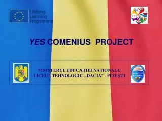 yes comenius project