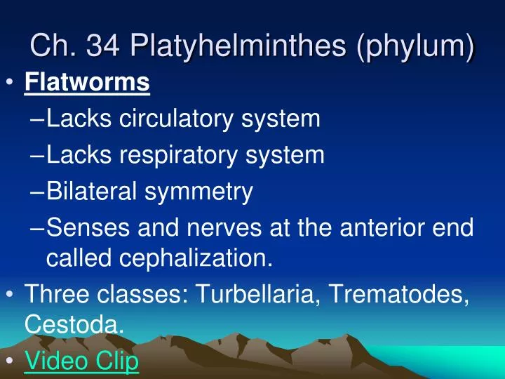 ch 34 platyhelminthes phylum