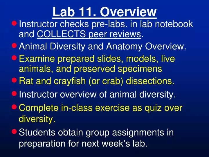 lab 11 overview