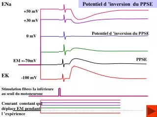 potentiel d inversion du ppse