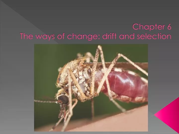 chapter 6 the ways of change drift and selection