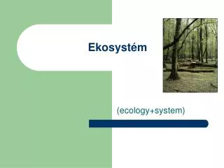 ekosyst m